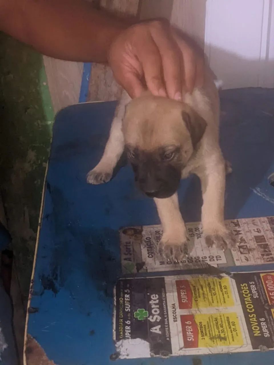 Doação  - Foto 4