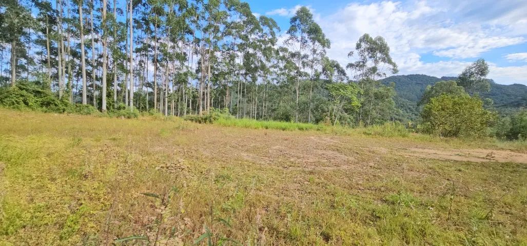 Terreno rural para chácara - Aguas Mornas - Foto 5