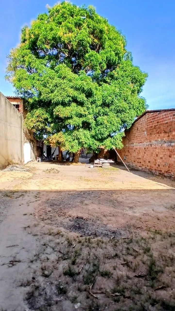 ALUGA-SE TERRENO PARA FINS COMERCIAIS  - Foto 2