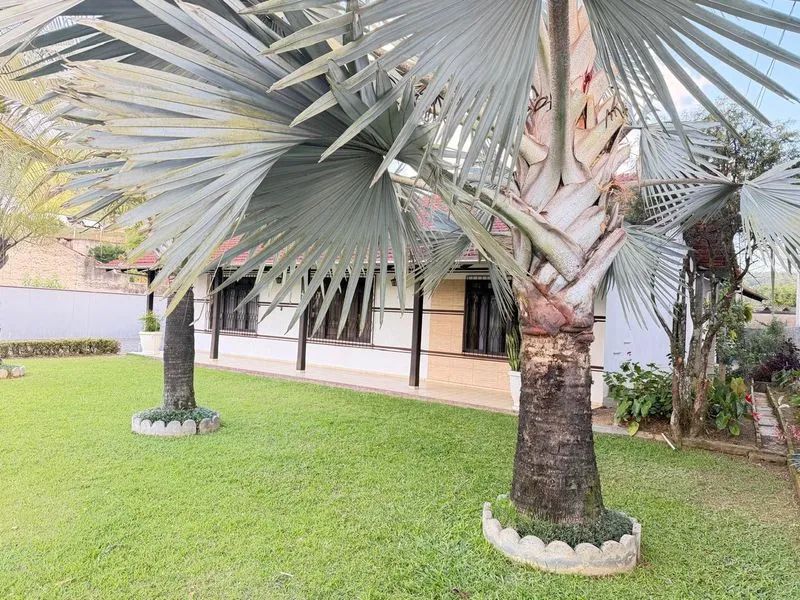 Casa BENEDITO NOVO - SC - Foto 3