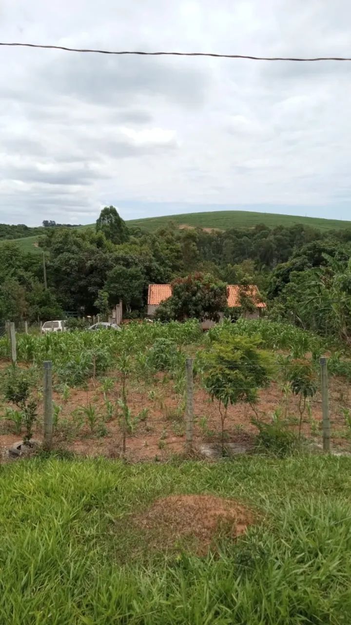 Chácara a venda - Foto 2