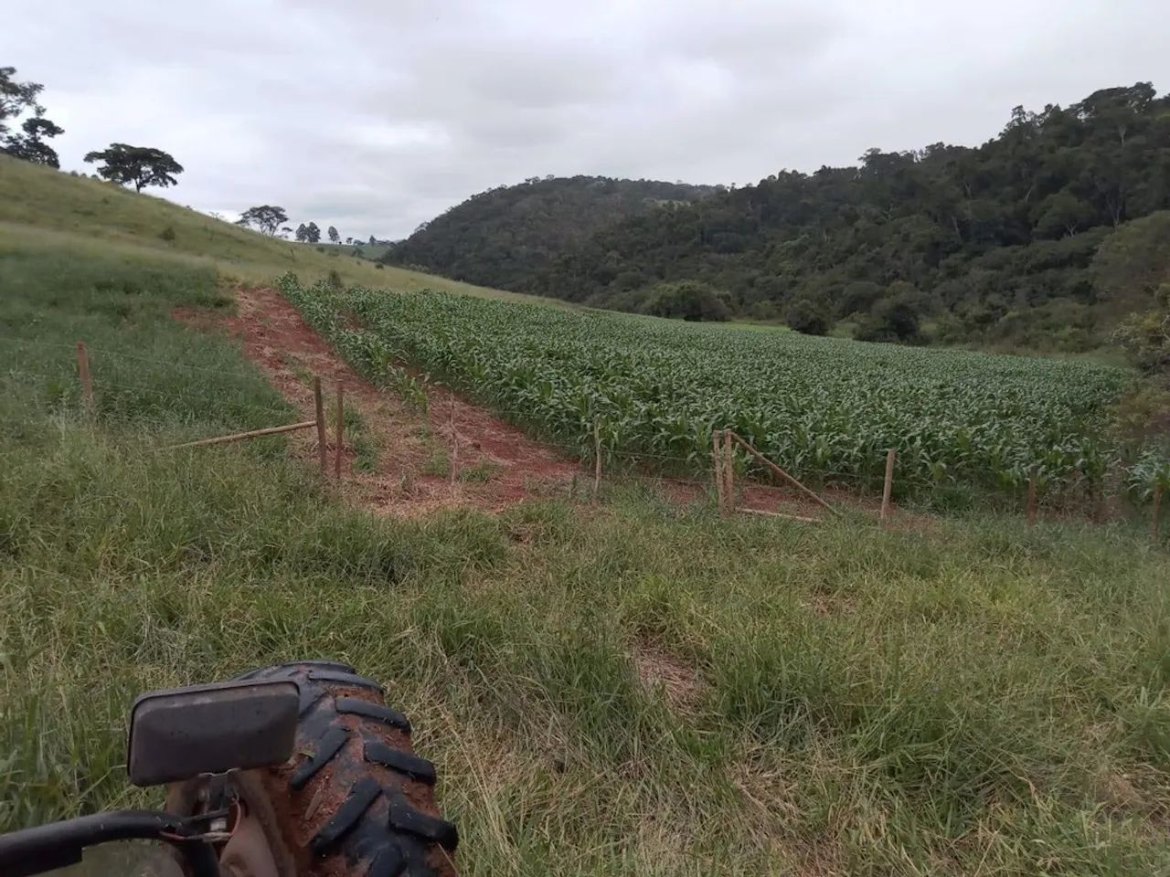 Fazenda com 130,80 hectares e curral completo em Itamonte - MG. - Foto 3