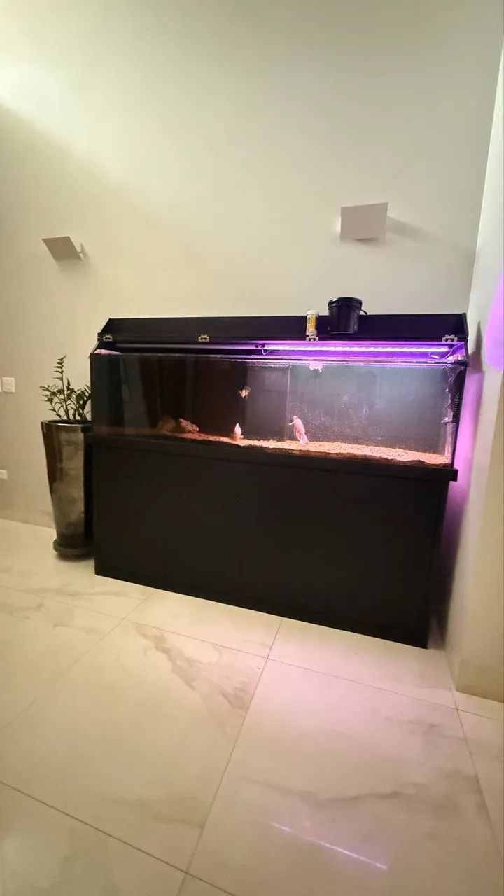 Aquário com móvel preto 2 metros 