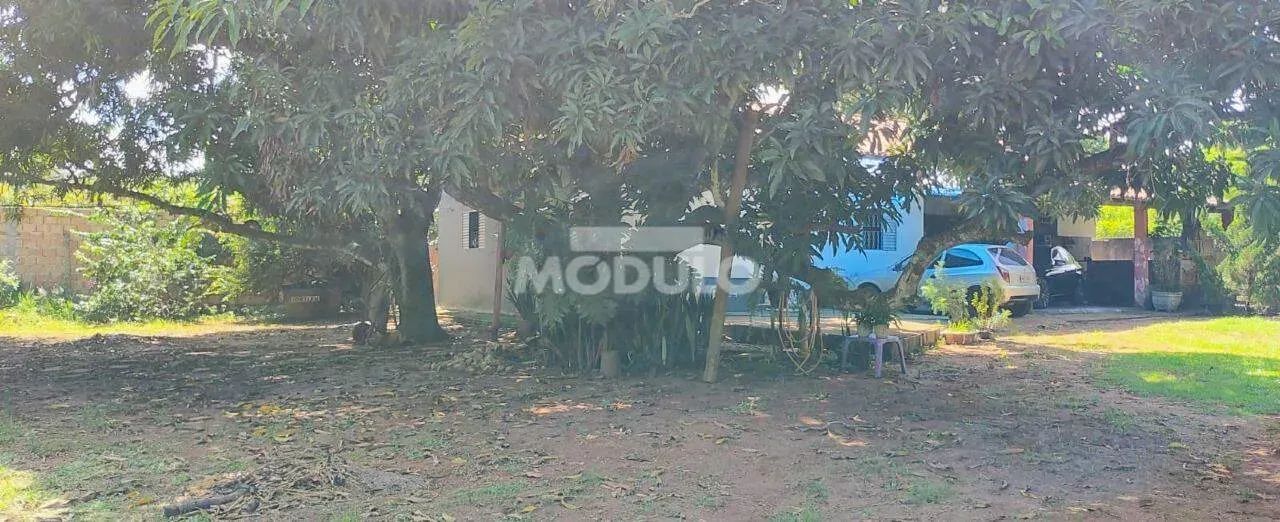Chácara a venda no Panorama com 5 mil m² - Foto 3