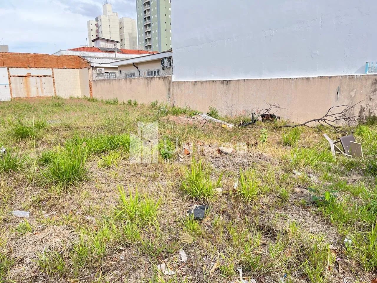 terreno - Jardim Guanabara - Campinas - Foto 3