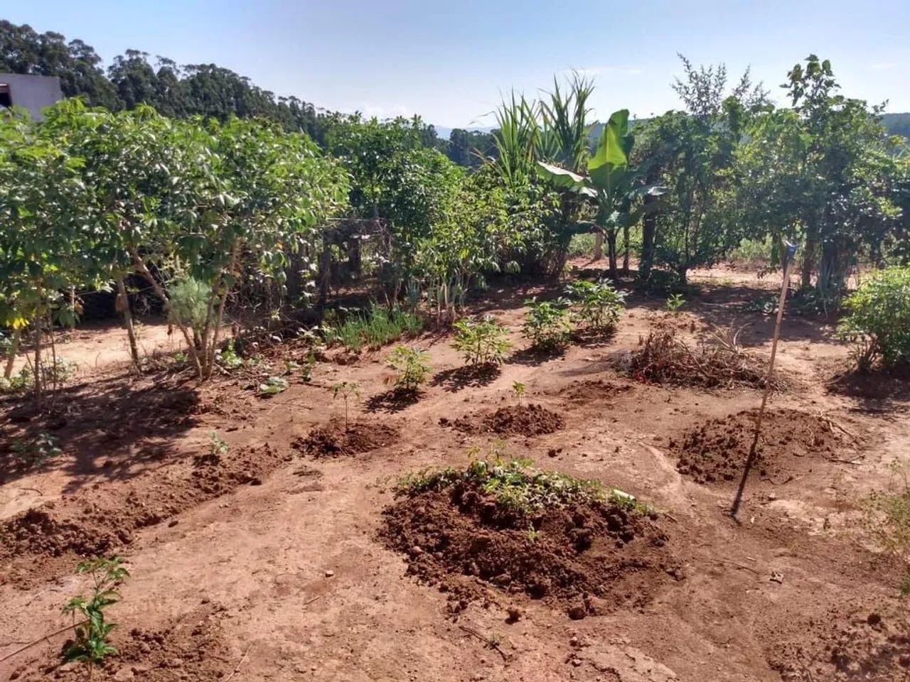 Chácara à venda em Jacutinga, A Definir, com 1000 m² - Foto 5