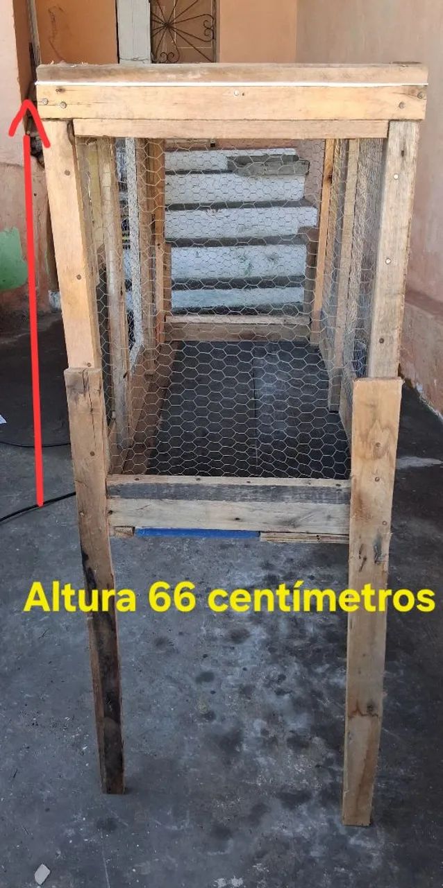 Viveiro  - Foto 2
