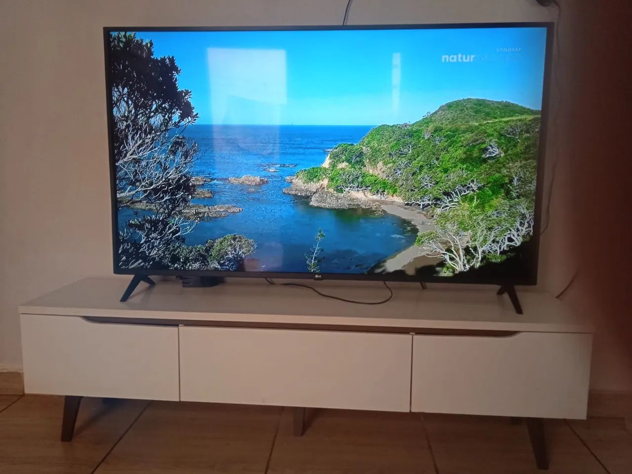 Tv 65 polegadas Smart modelo  65UN7310PSC 