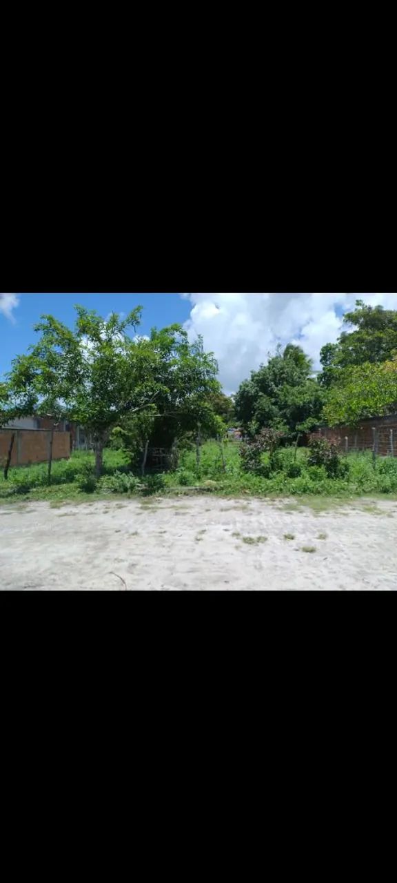 Terreno 
