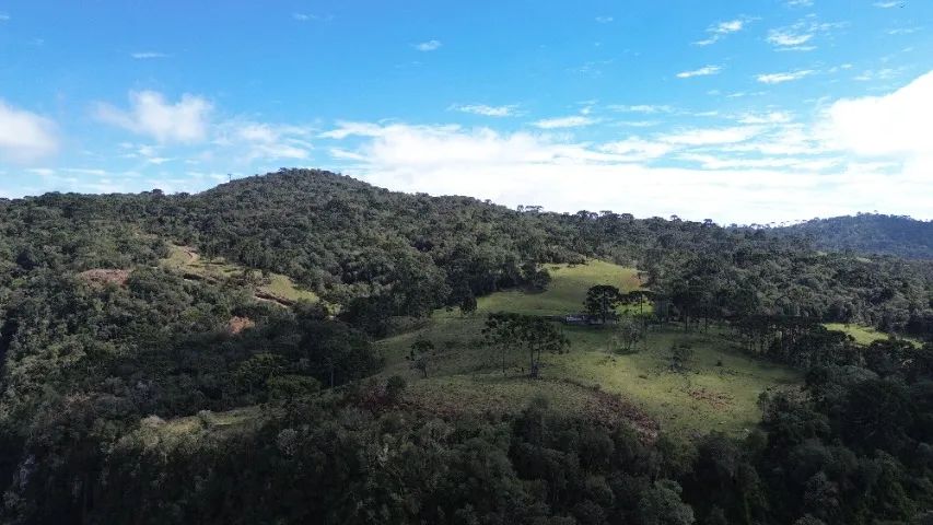 2 HECTARES - R$ 200.000,00 - Foto 2