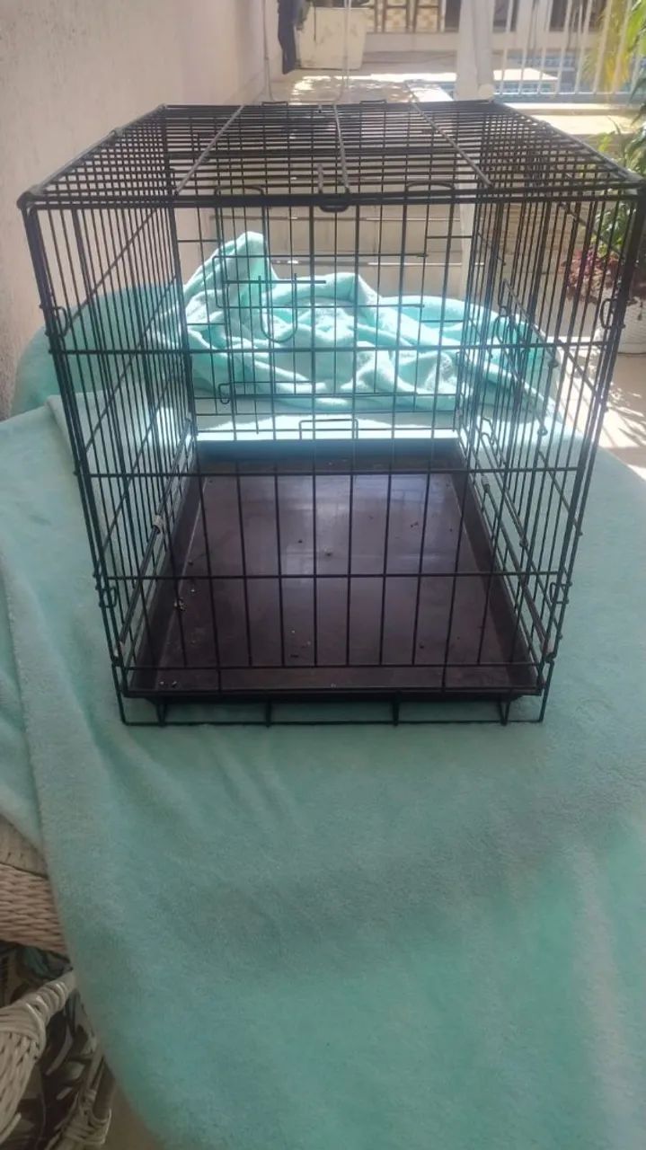 Caixa transporte para pet - Foto 3