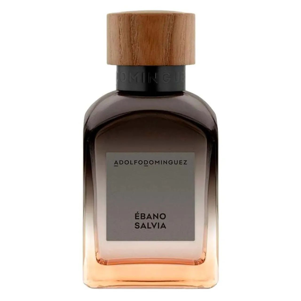 Perfume Salvia Adolfo Dominguez 120ml Lacrado com selo Adipec  - Foto 2