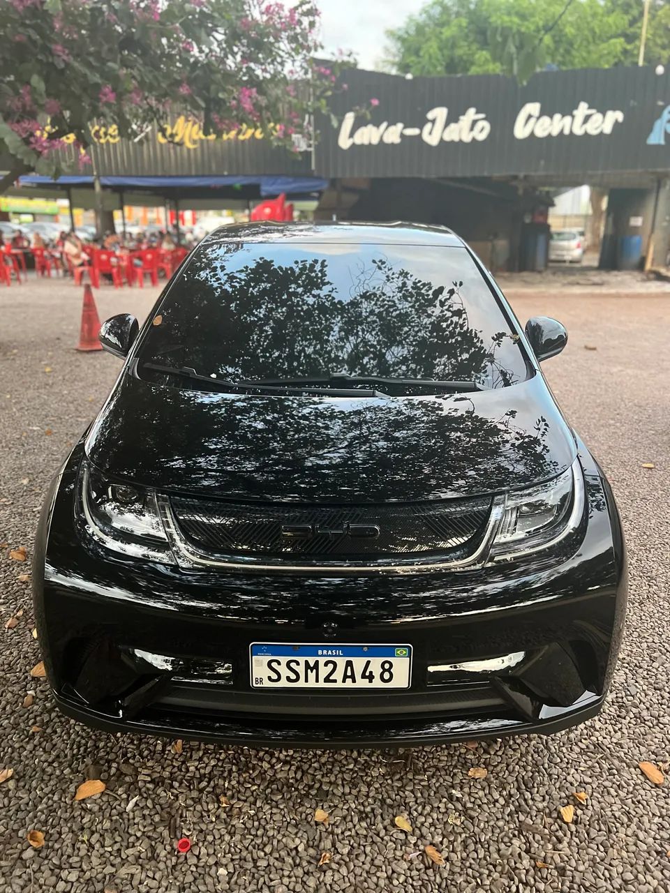 BYD Dolphin EV (Elétrico) 2024 - Foto 3