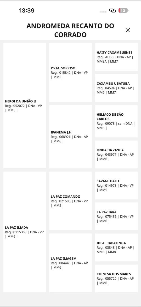 Egua MM, PAMPA  - Foto 3