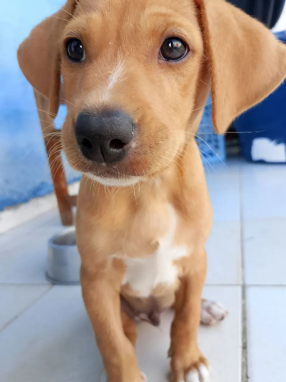 Doação  - Foto 4