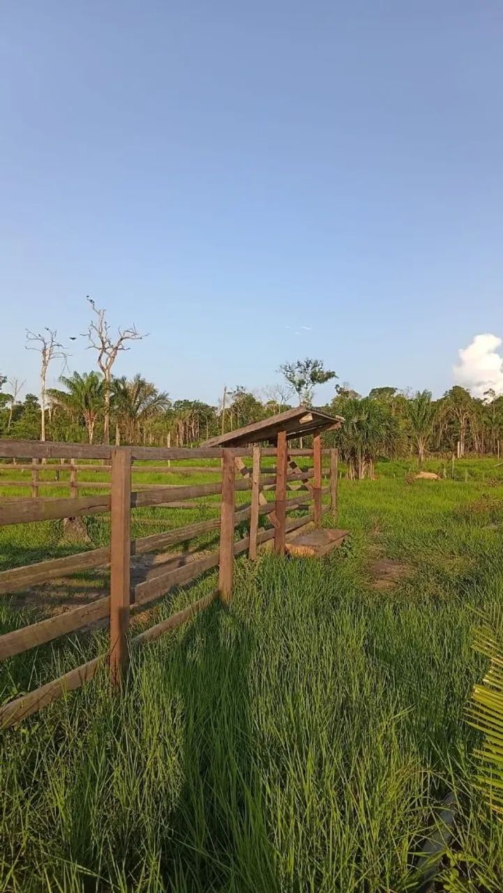 Sítio a venda  - Foto 4
