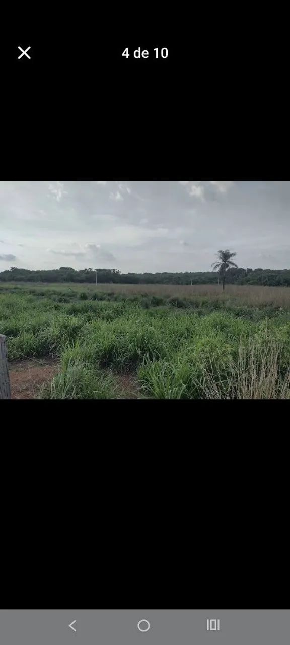 Vende-se uma 8 alqueire  - Foto 5