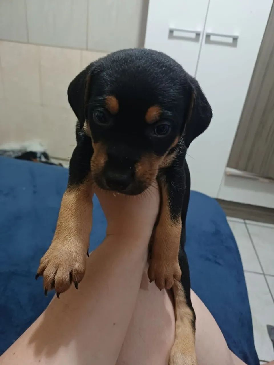 Doação - Foto 5