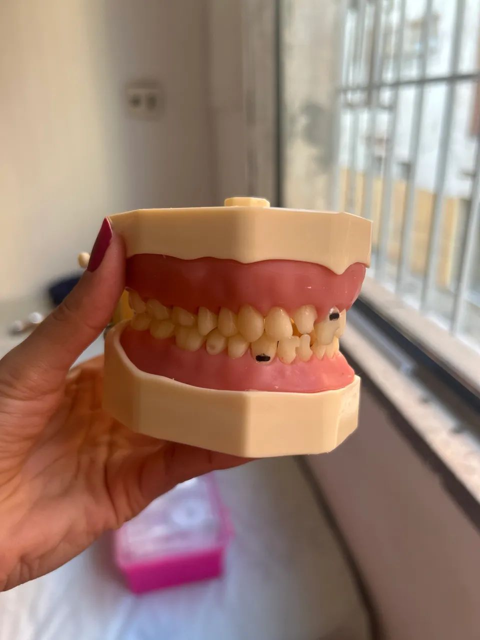 Manequim Dentário  - Foto 2