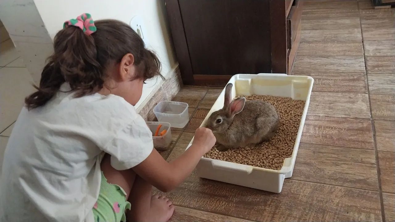 Doa-se Coelhinho fofo - Foto 2