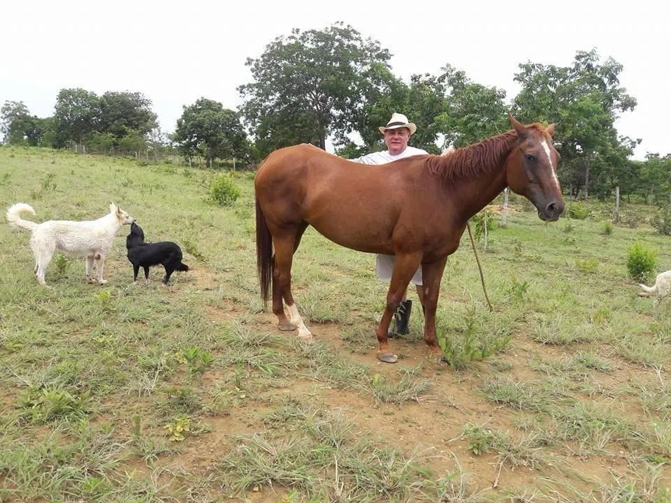 FAZENDINHA 80 HECTARES EM LIVRAMENTO  - Foto 4
