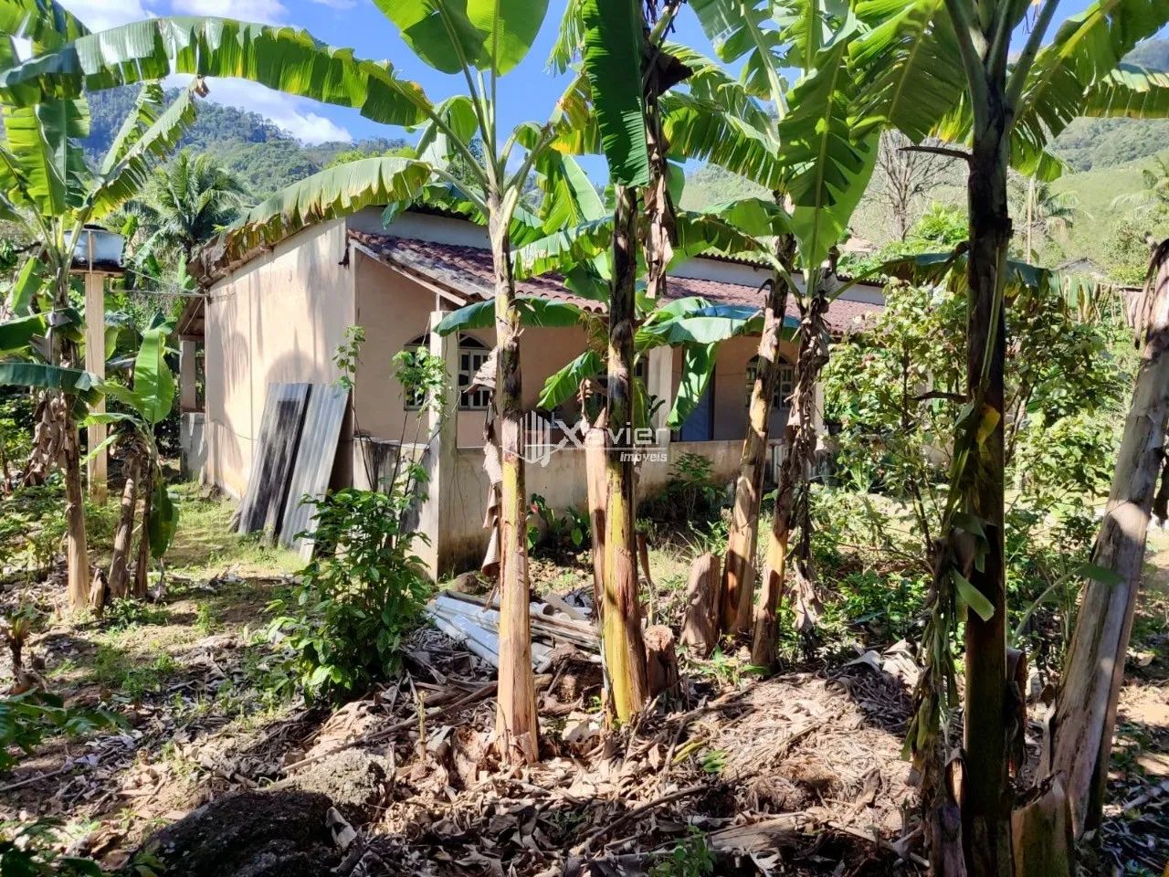 Sítio plano com 48.400 m² em Cabeça Quebrada, Guarapari/ES, com muita água e excelente pot - Foto 5