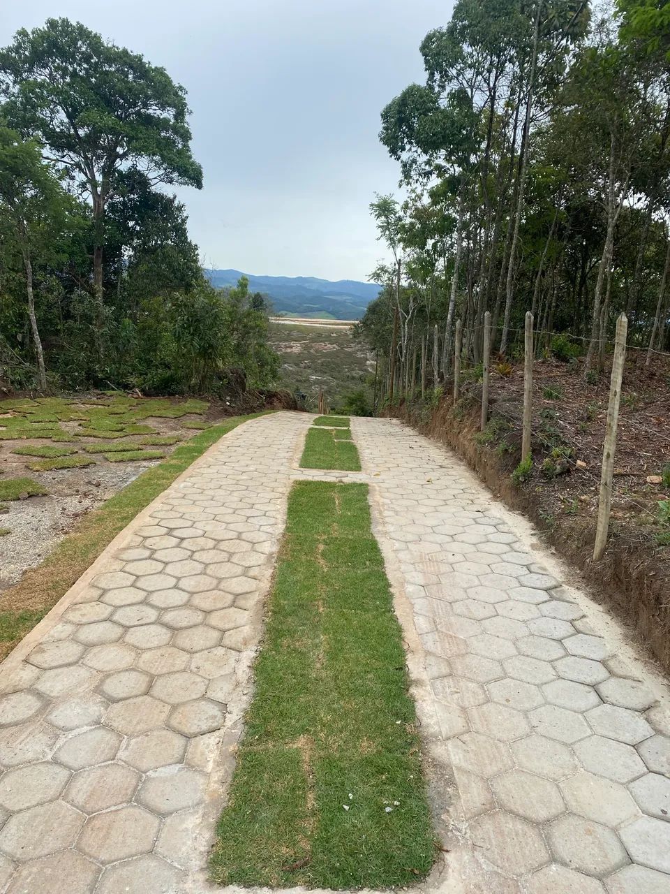 Lote Lavras Novas