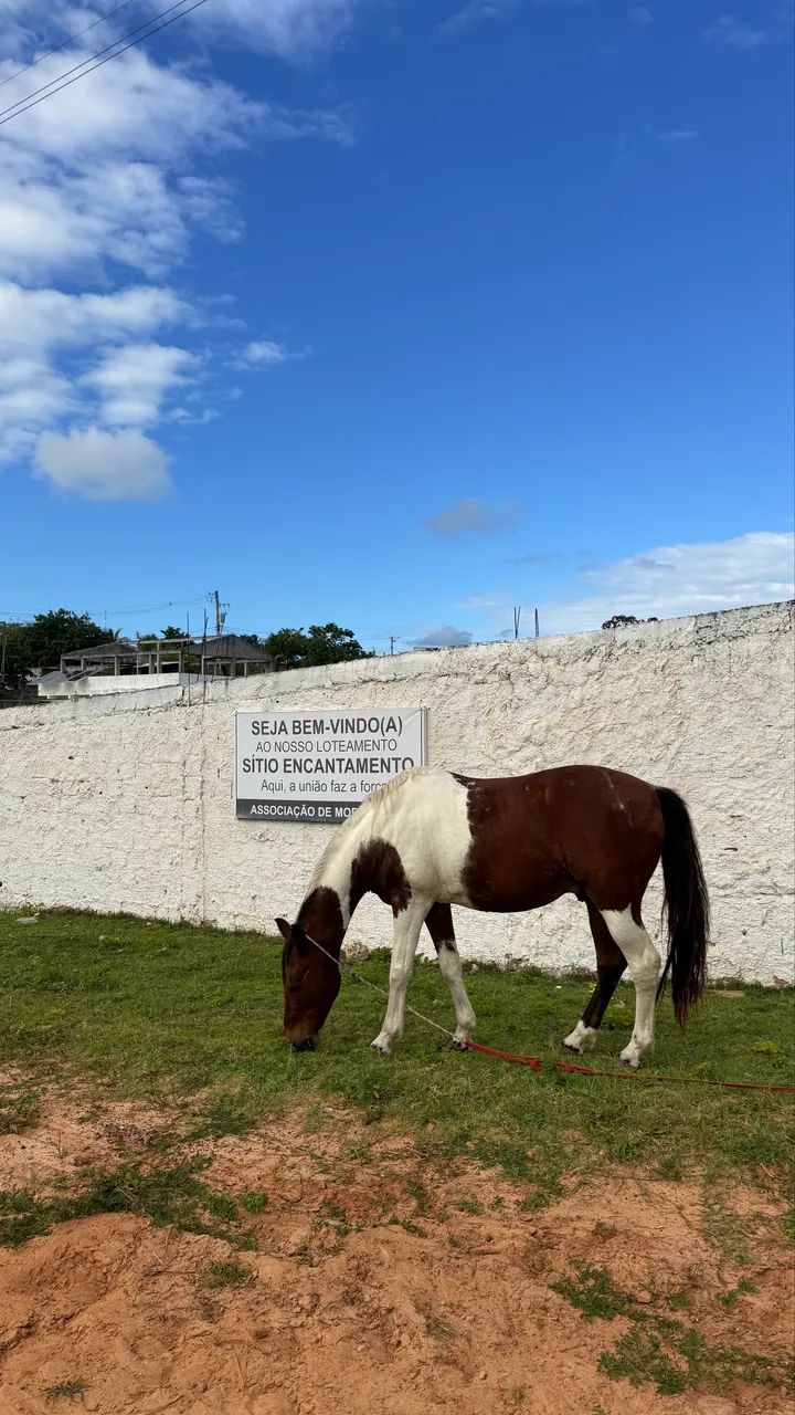 EXCELENTE TERRENO EM JAUA COM 2.000m2  - Foto 5