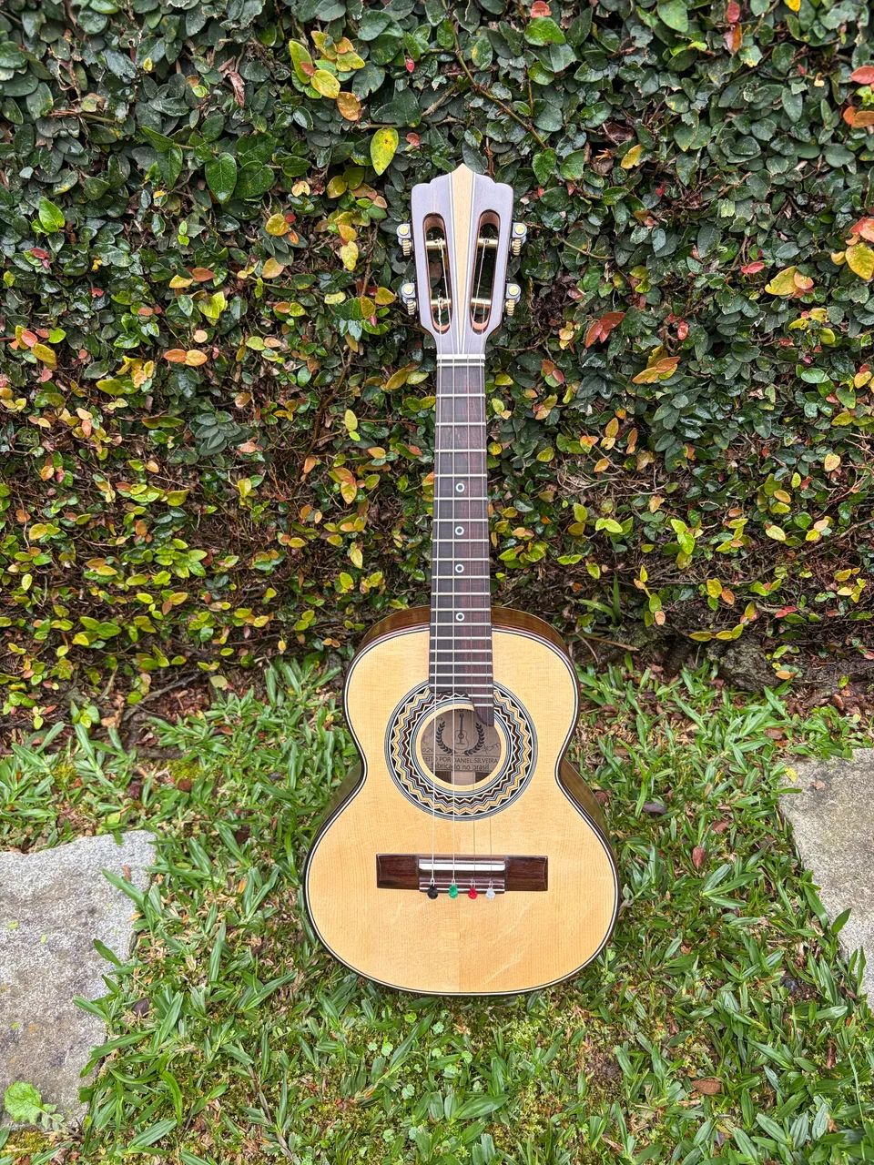 Cavaco Melodia Silveira - Foto 4