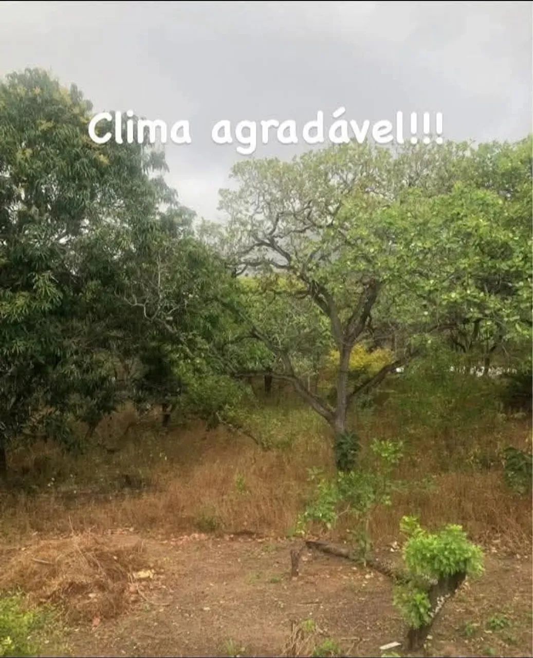Sítio na serra da taquara  - Foto 4
