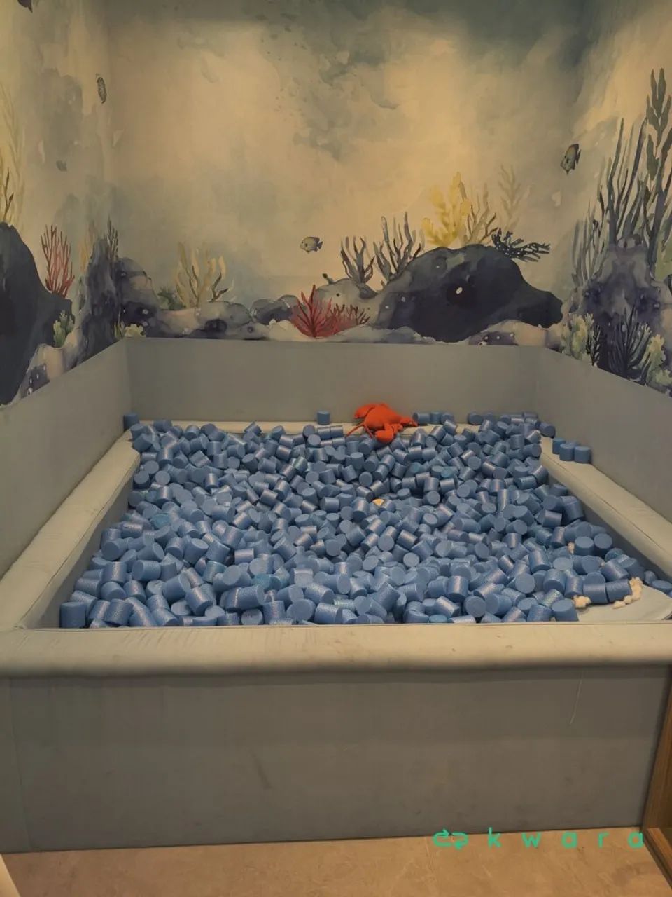 Piscina de bolinha 