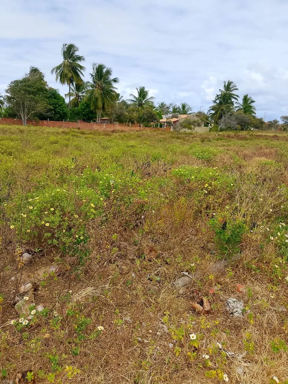 VENDO TERRENO COM 1KM DE DISTÂNCIA DA PRAIA E DUNAS DA CAUEIRA  - Foto 2