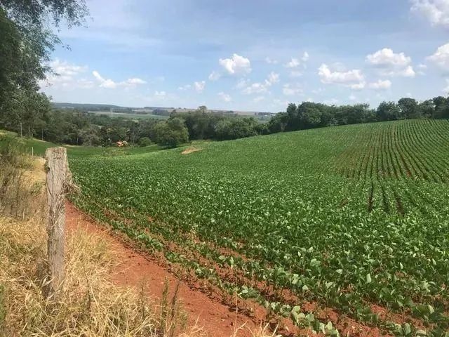 Sítio à venda em Campina do Monte Alegre, Campina de Monte alegre, com 2 quartos, com 1120 - Foto 2