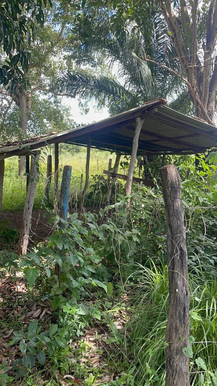 Vendo Sítio com benfeitorias em Acorizal  - Foto 5