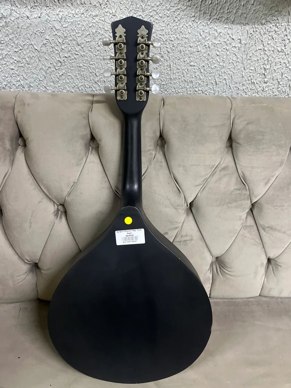 Bandolim tonante  - Foto 2