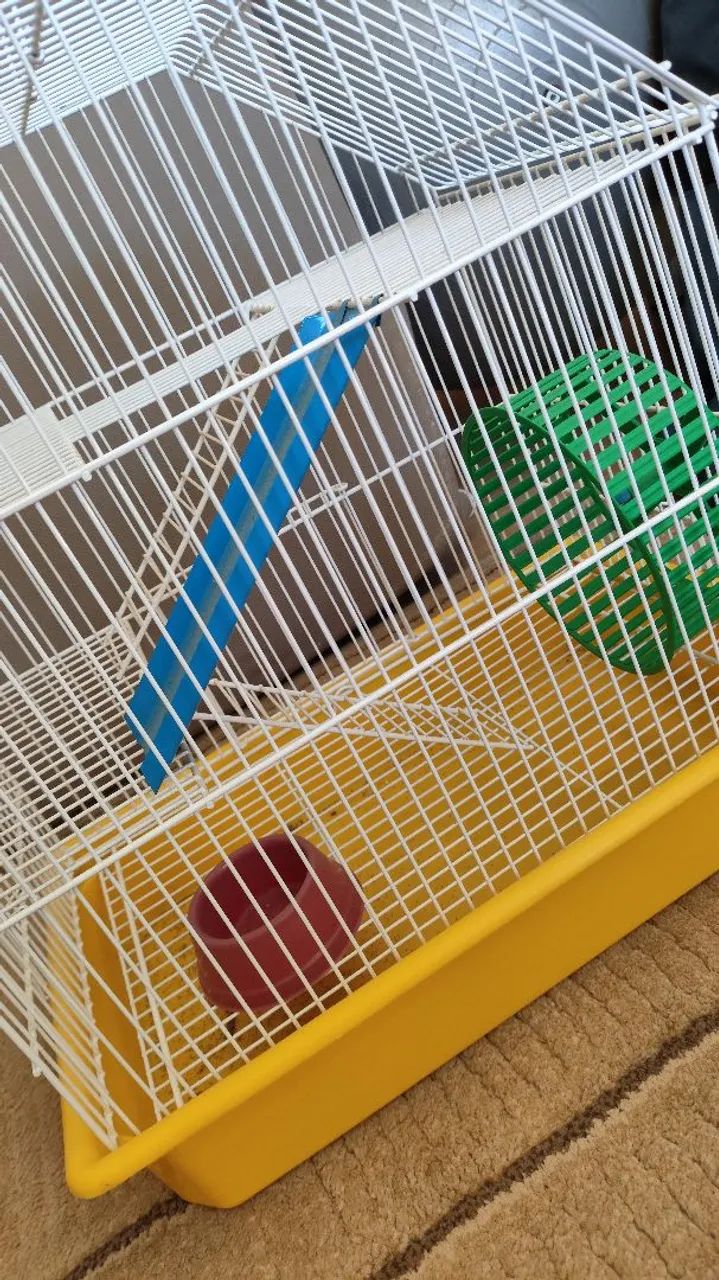 Gaiola para Hamsters - marca Gaiolas Londrina