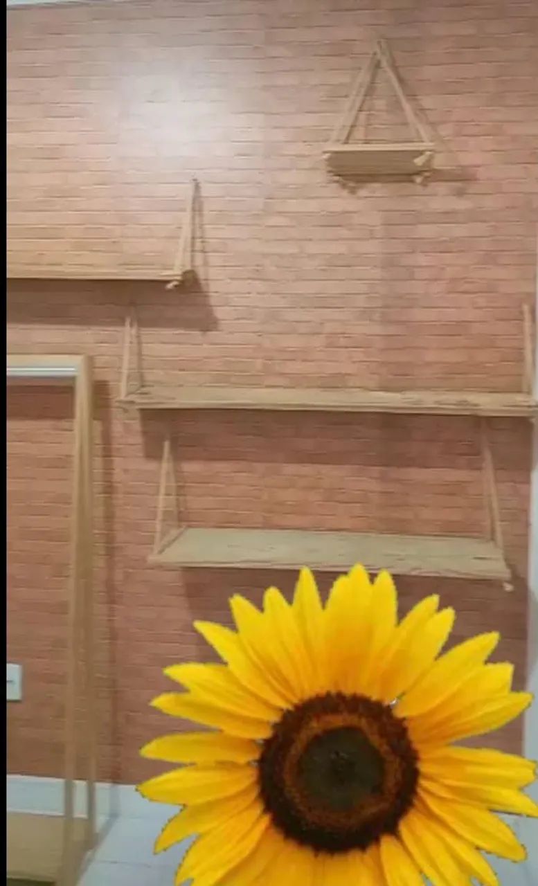 Vendo Arara/Closet aberto com prateleiras e Cabideiro em madeira  - Foto 3