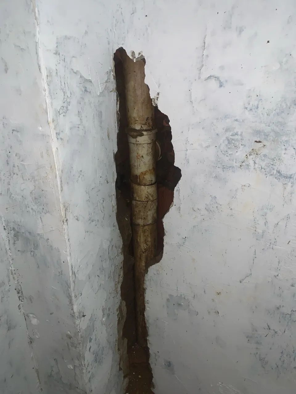 Pedreiro - Reformas, Infiltração, Piso, Reboco e Reparos - Foto 3