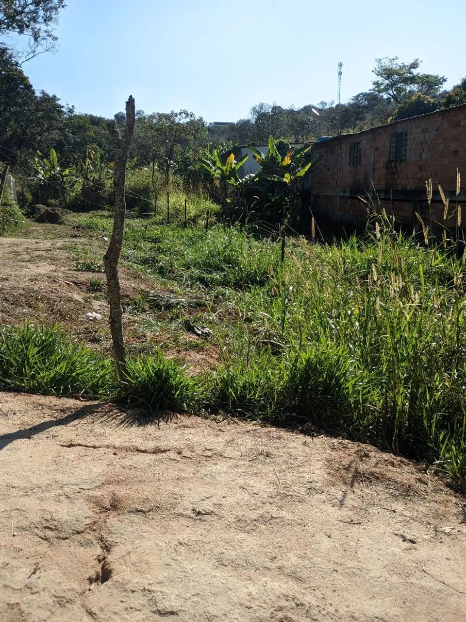 Lote aproximadamente 500mt - Foto 4
