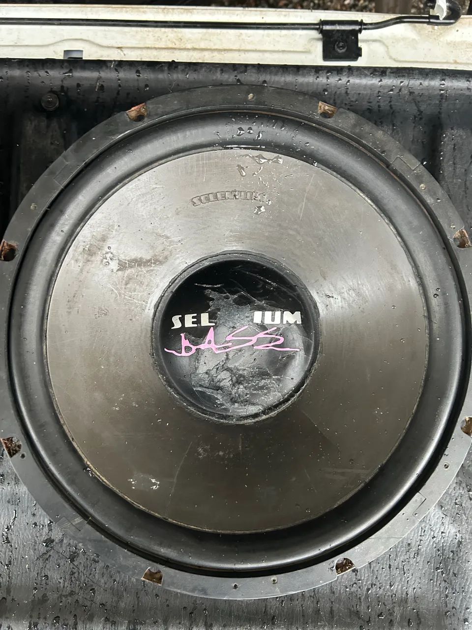 Selenium Bass