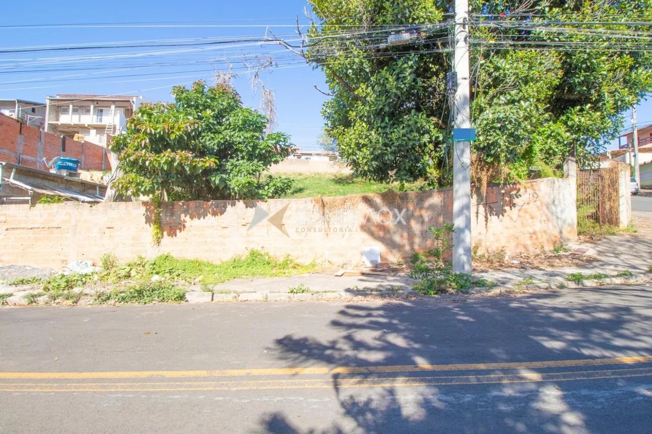 terreno - Parque Jambeiro - Campinas - Foto 3