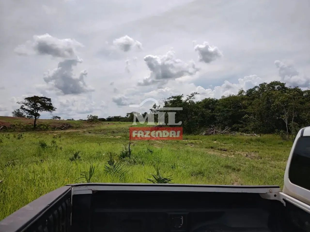 Fazenda 429 Alqueires (2.076 Hectares).Paranã-TO - Foto 4