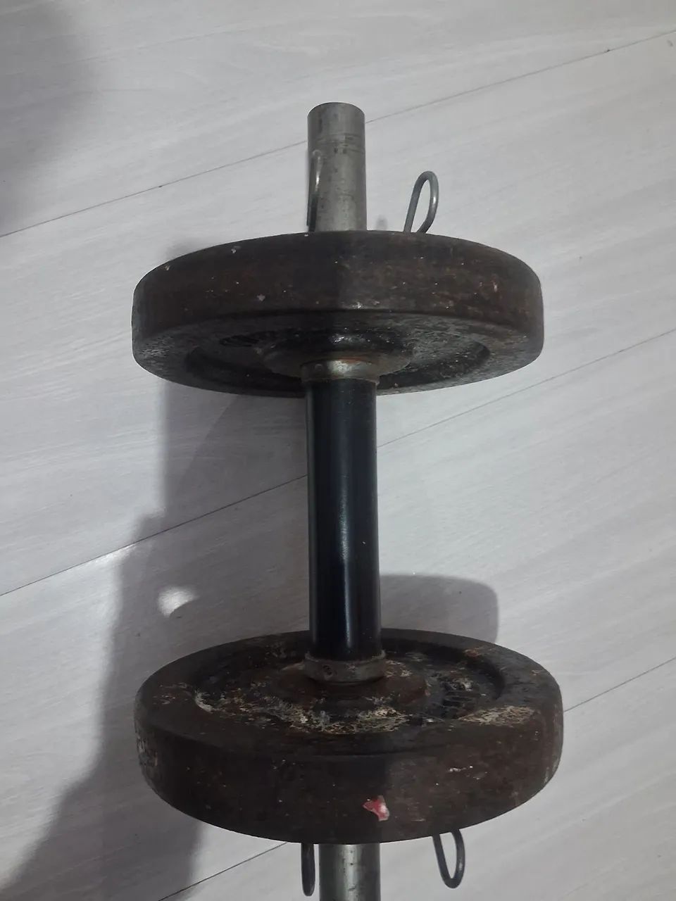 Halteres  - Foto 3