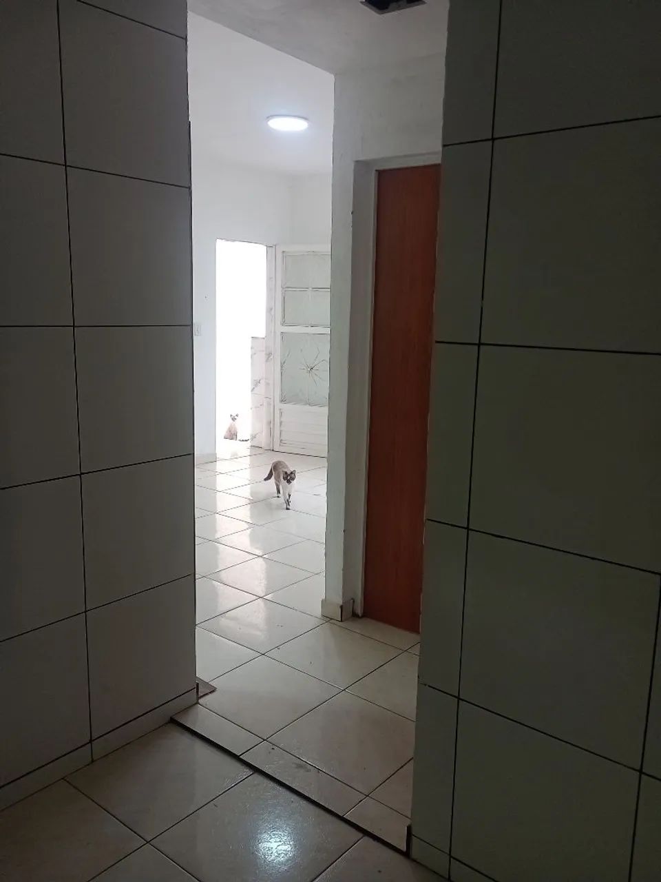 Alugo casa de um quarto  - Foto 5