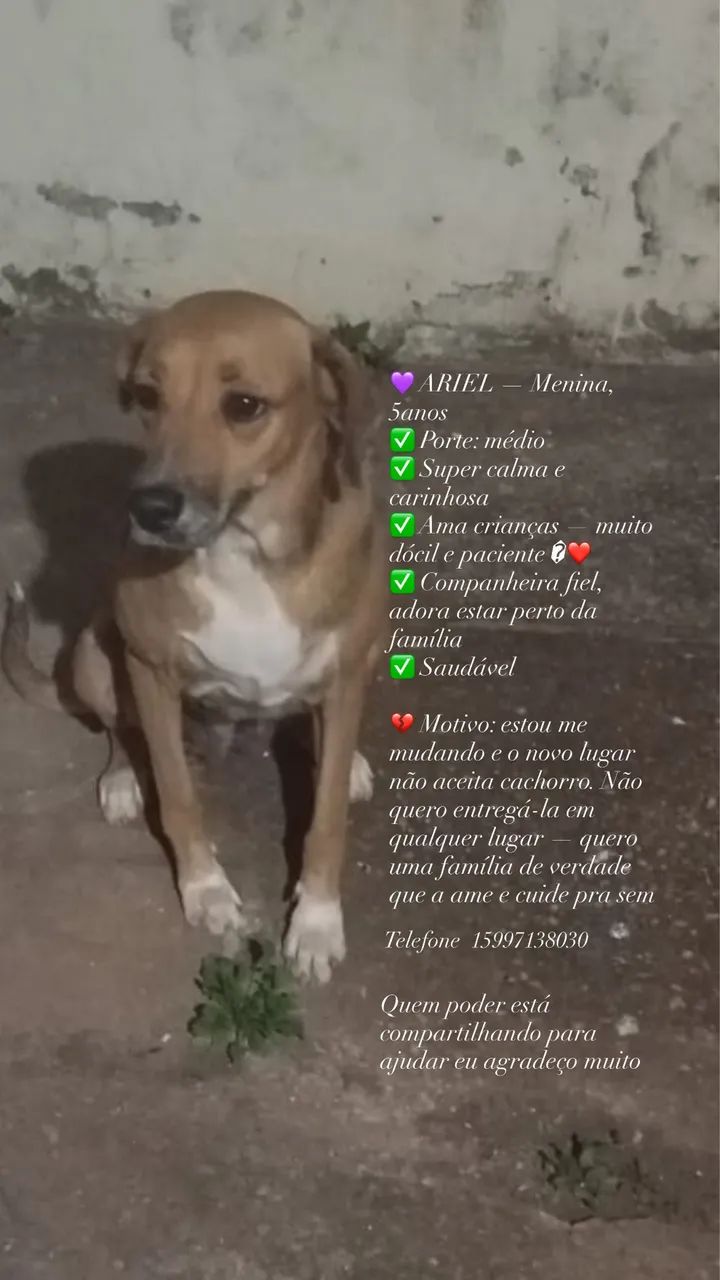 Doação 