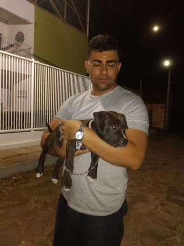 Pit monster com red nose