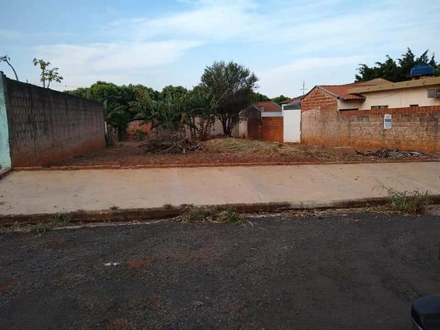 Terreno grande(490m²), com escritura, bairro Santo Expedito em JALES SP