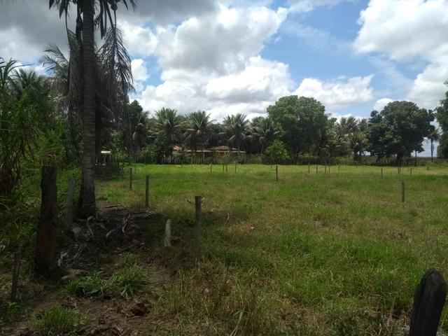 Vende-se Roça ótima para o lazer - Foto 12