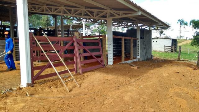 Fazenda 16,5 Alq - 50km de Goiânia - Hidrolândia - Entrada exclusiva - a 4 km da Rodovia - Foto 10