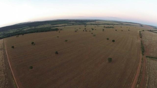 ID.12 Fazenda 190 alq. Para Lavoura á venda em Caldas novas-Go - Foto 8